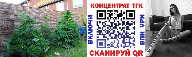 ТГК THC oil  купить  сайты  Миллерово 