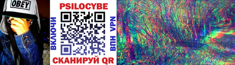 Галлюциногенные грибы Psilocybine cubensis  Миллерово 