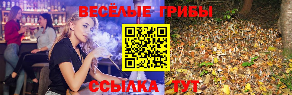 Галлюциногенные грибы Cubensis  Вход с VPN  Миллерово 
